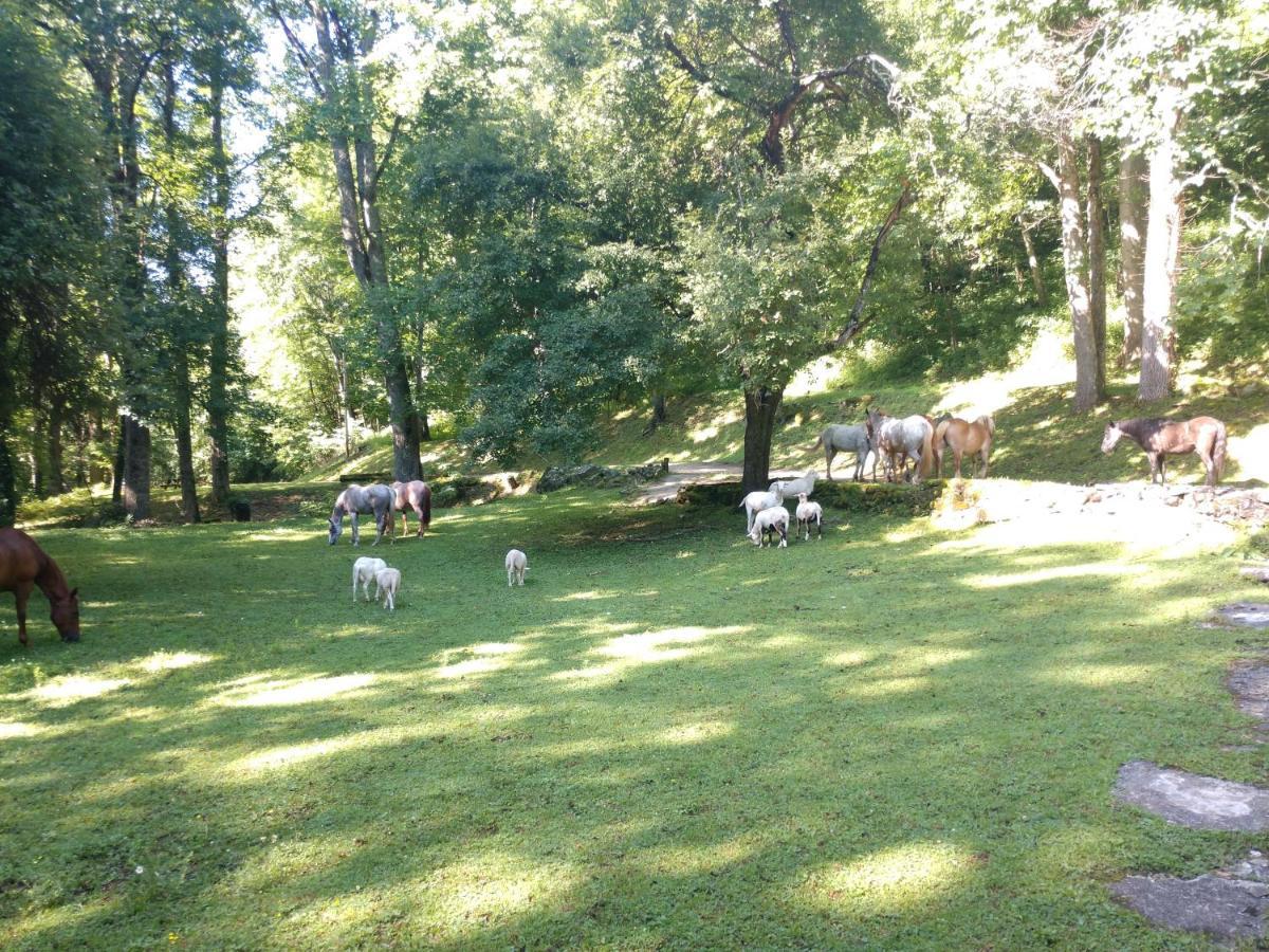 Arrowmont Stables & Cabins Cullowhee Bagian luar foto
