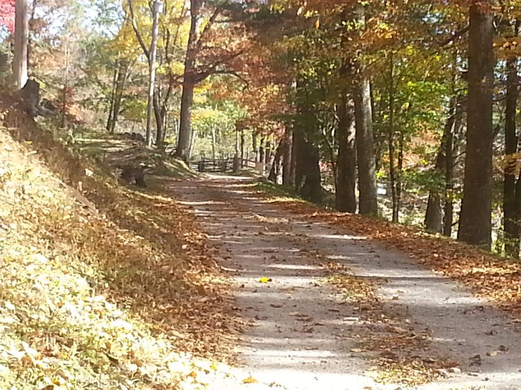 Arrowmont Stables & Cabins Cullowhee Bagian luar foto