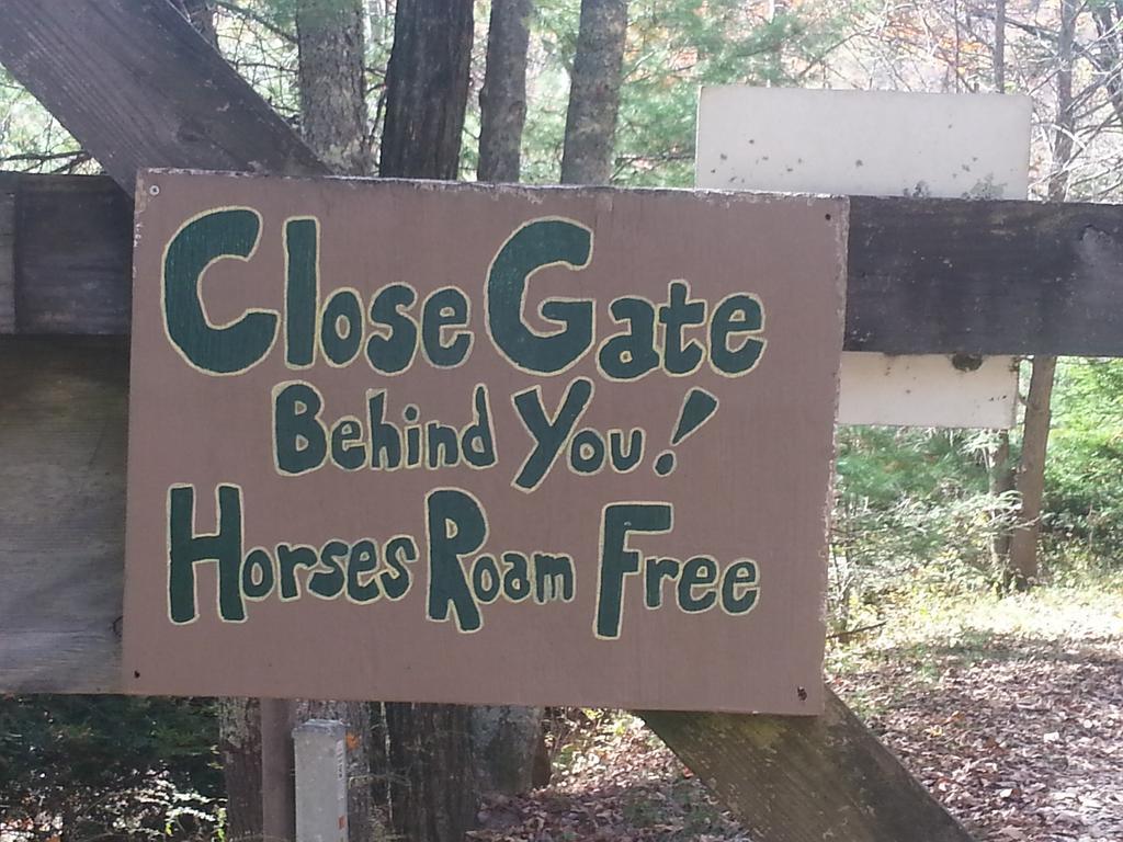 Arrowmont Stables & Cabins Cullowhee Bagian luar foto