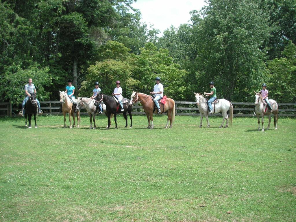 Arrowmont Stables & Cabins Cullowhee Bagian luar foto